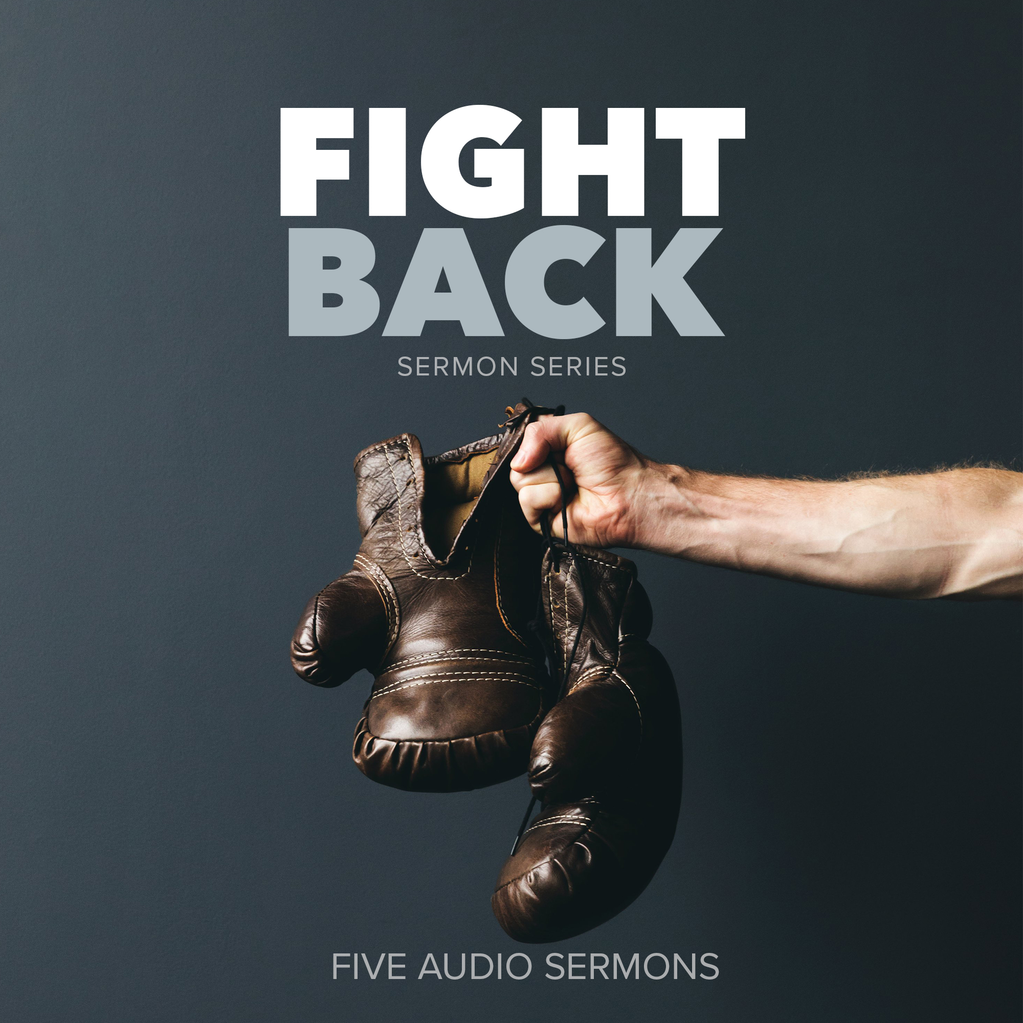 Series: Fight Back