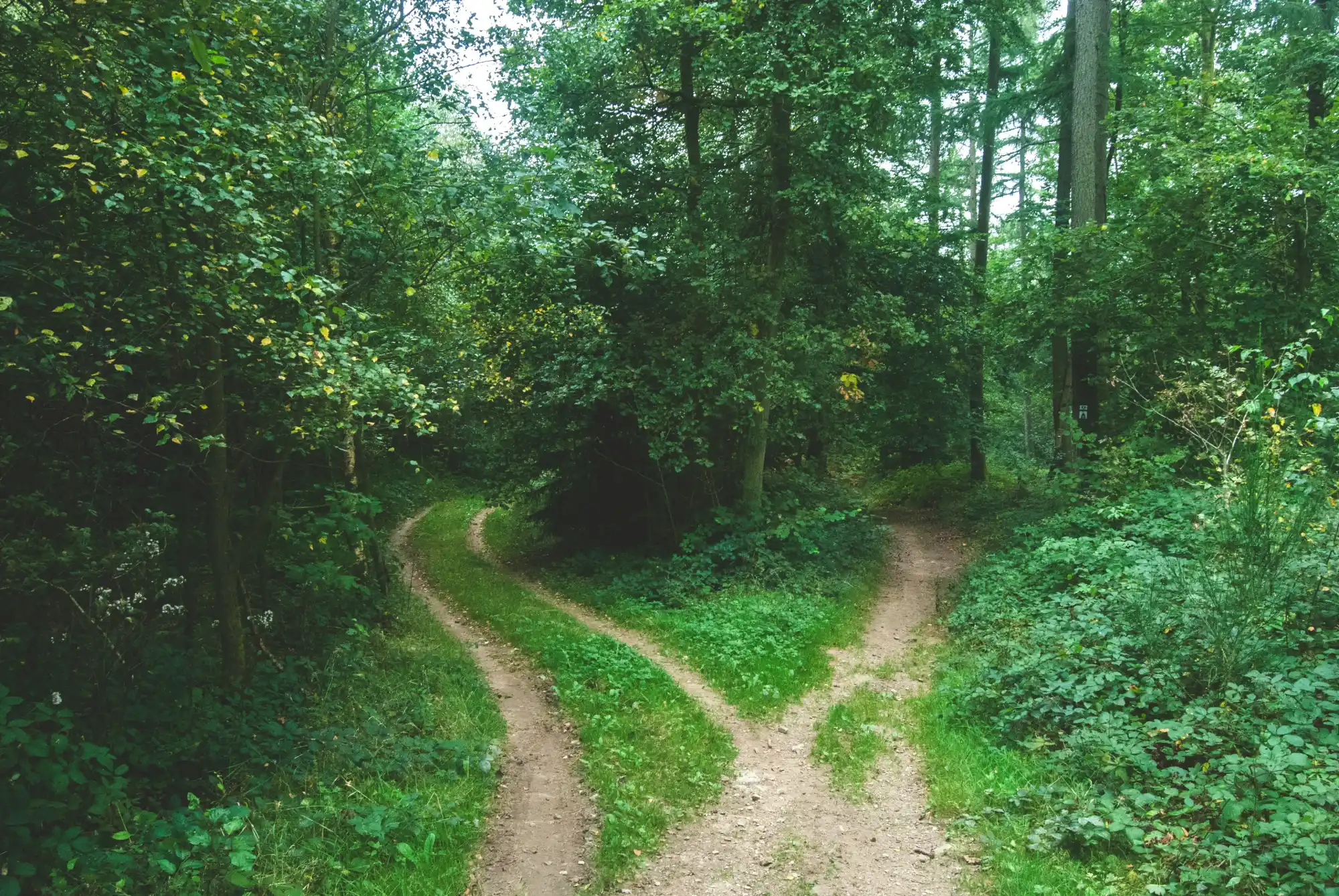 Featured image for “6 Clues to Your Calling”