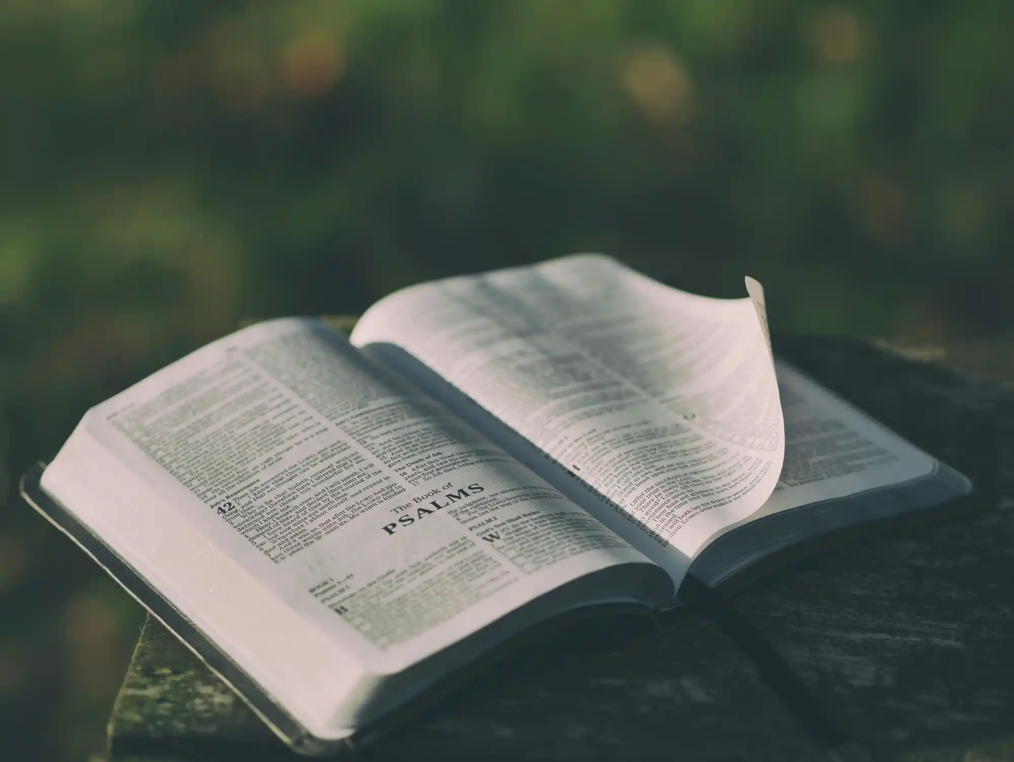 Featured image for “Scriptures for Healing”