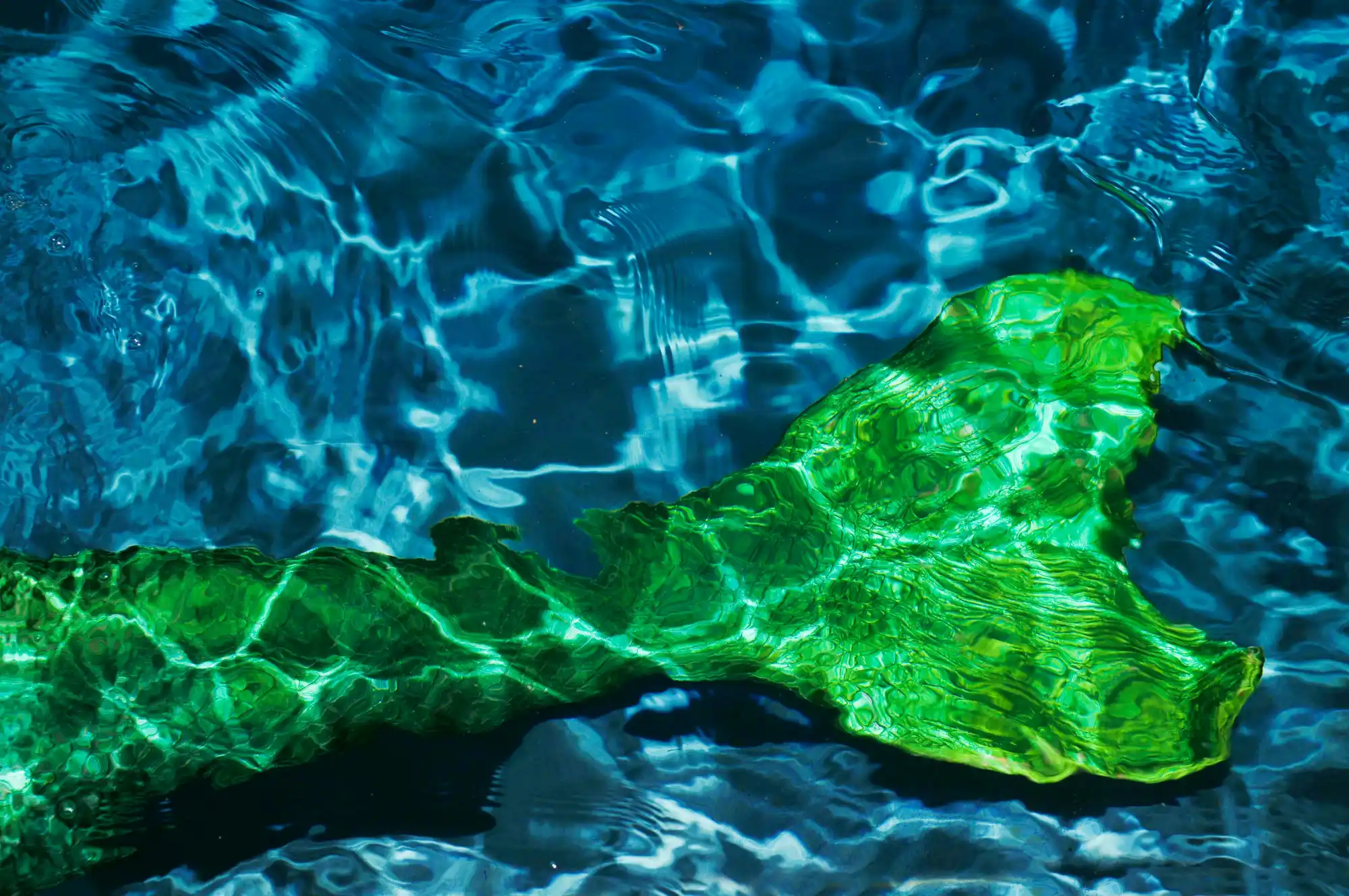 Featured image for “What You Need to Know About Marine Spirits”