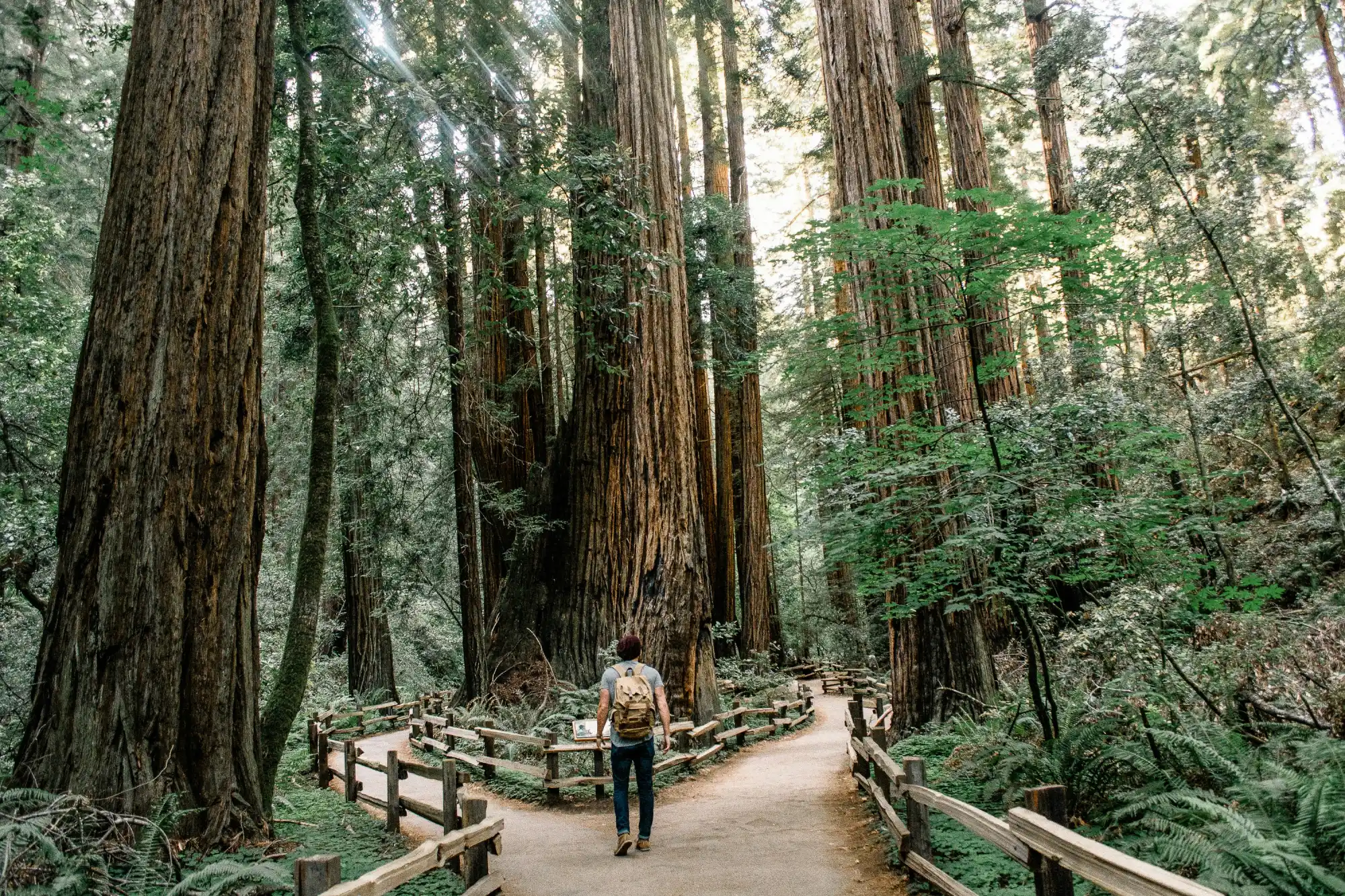 Featured image for “How to Discover Your Calling”