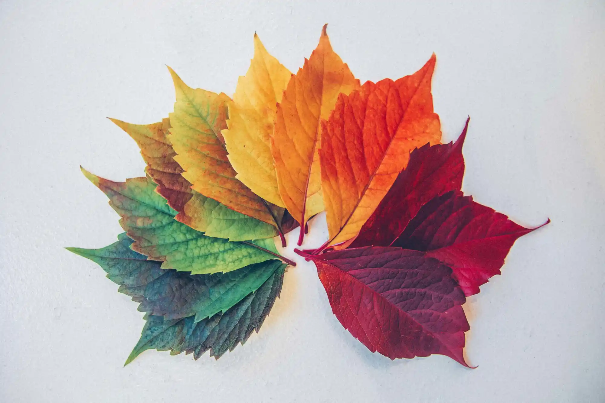 Featured image for “These Signs Mean You’re In A New Season”