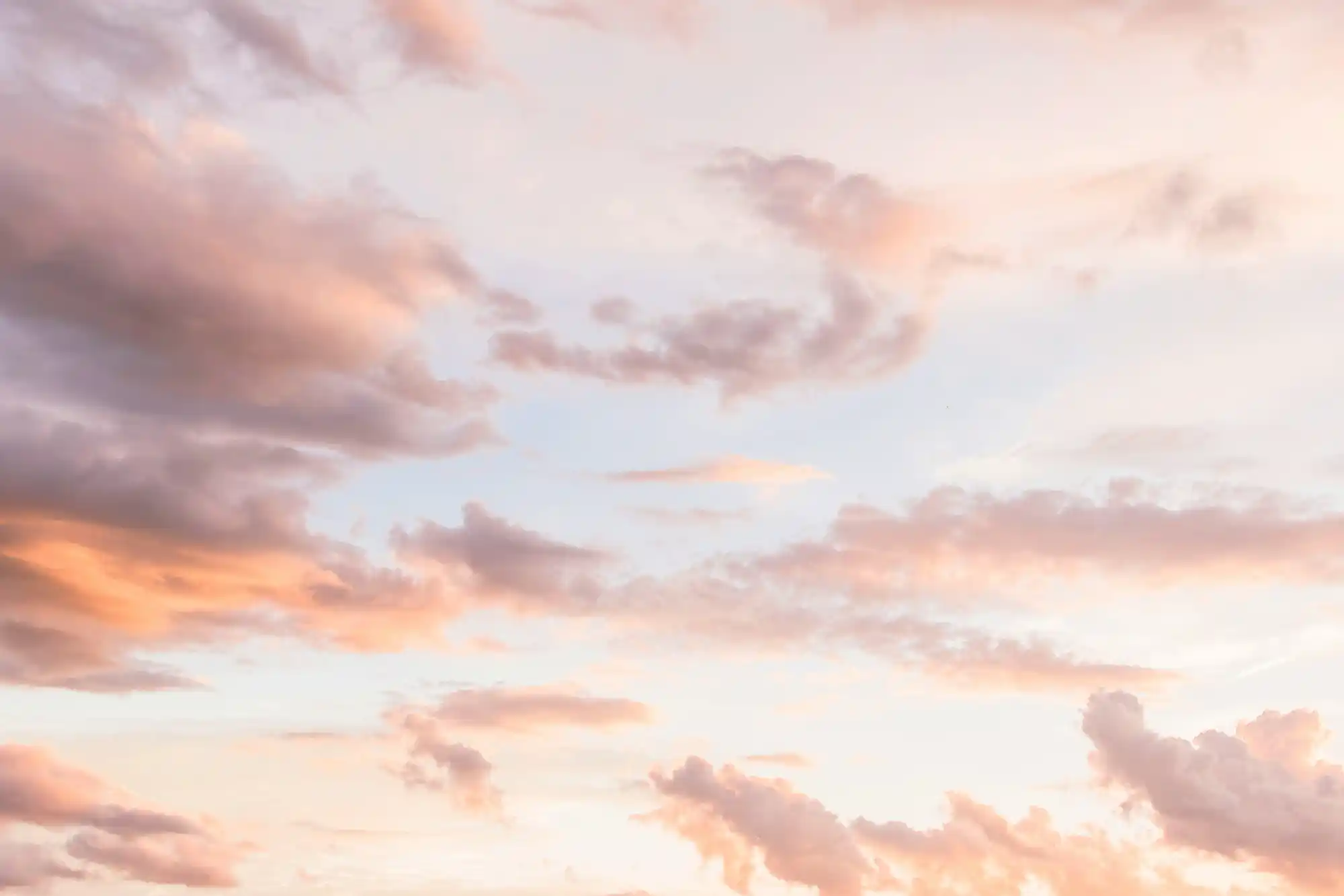 Featured image for “The Truth About Heaven and Eternity”